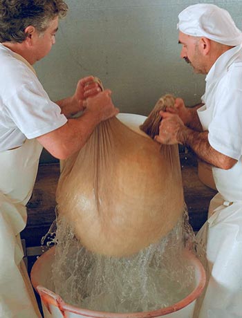 articolo-simone-falcini-ass-italiana-cuochio articolo-simone-falcini-ass-italiana-cuochio