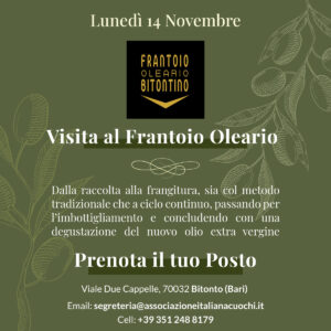 frantoio-pugliaig